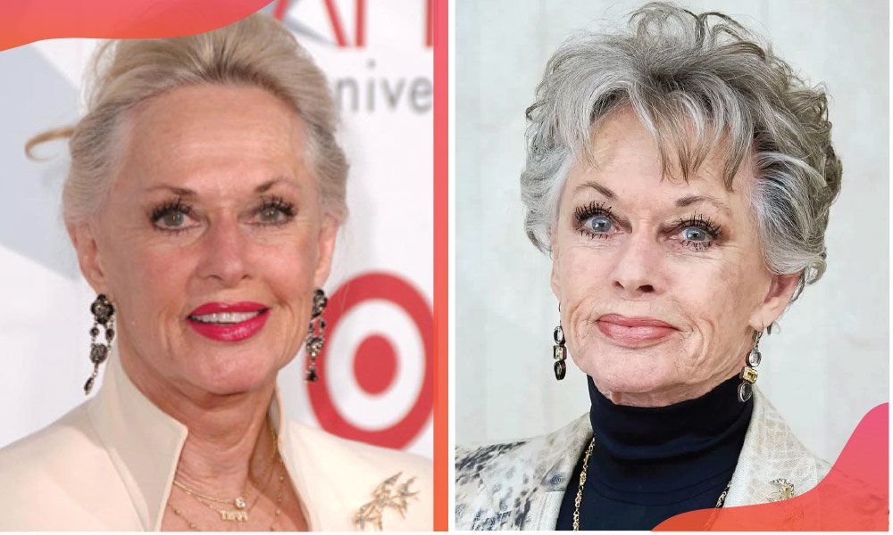 Who Is Luis Barrenechea? The Private Life of Tippi Hedren’s Ex-Husband